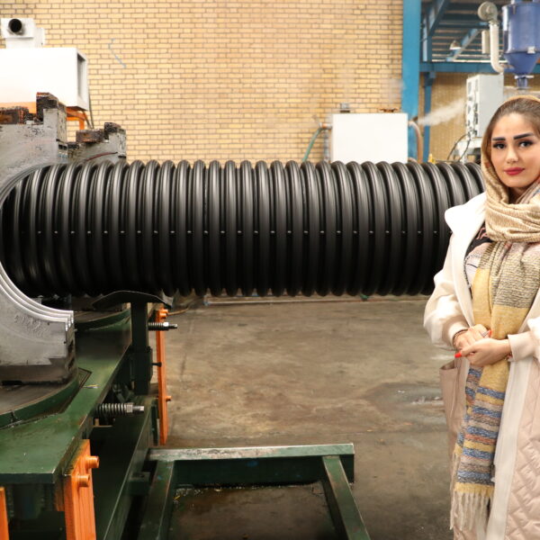 فرزانه پارسا